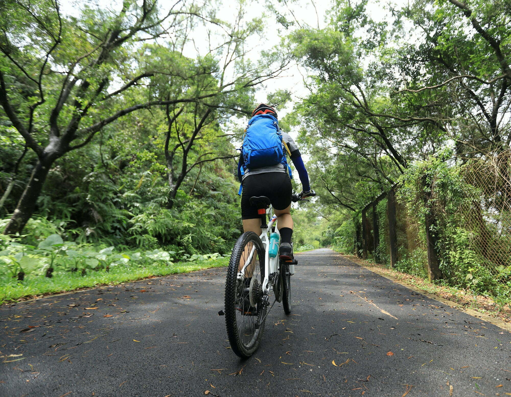 Cycling in the forest